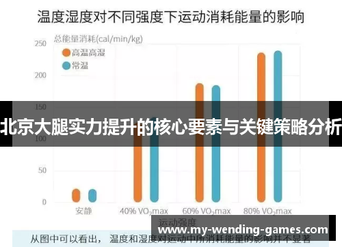 北京大腿实力提升的核心要素与关键策略分析