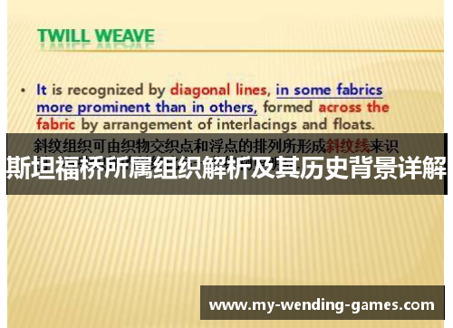 斯坦福桥所属组织解析及其历史背景详解