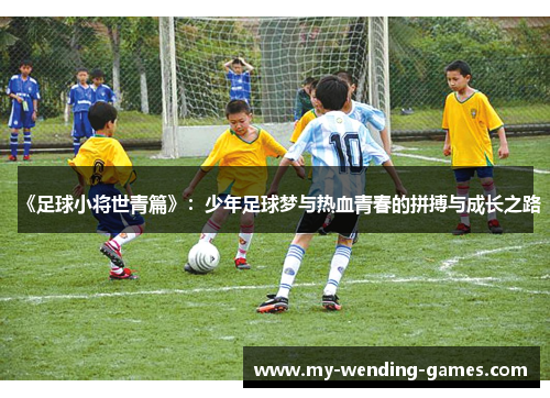 《足球小将世青篇》：少年足球梦与热血青春的拼搏与成长之路