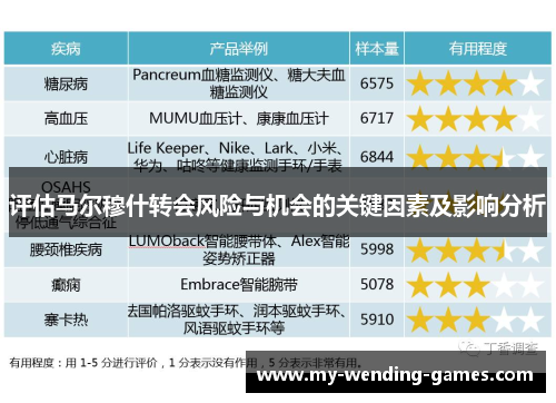 评估马尔穆什转会风险与机会的关键因素及影响分析