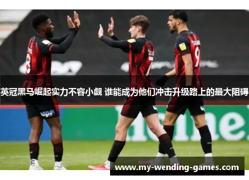 英冠黑马崛起实力不容小觑 谁能成为他们冲击升级路上的最大阻碍