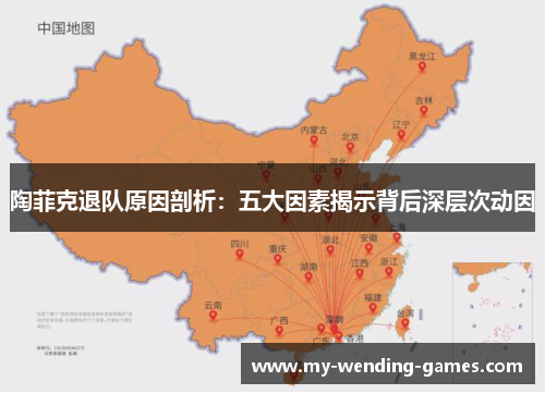 陶菲克退队原因剖析：五大因素揭示背后深层次动因